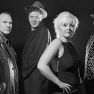 Partners in Crime - Pop, Rock,Covers Band, Party Band - Midlands